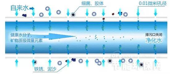 (超滤膜构造示意图)