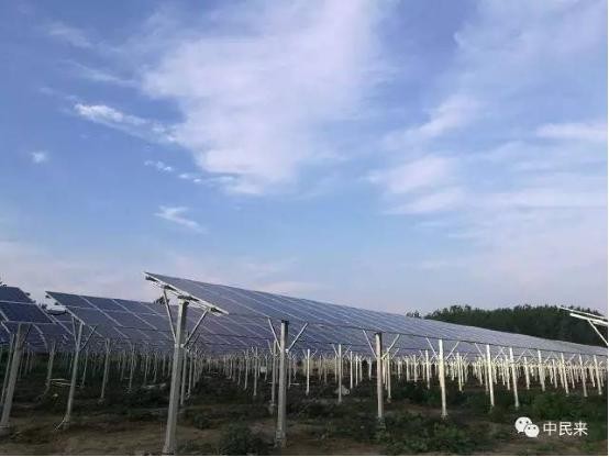中民来安徽省固镇县四个“六产”农光互补项目全数并网发电