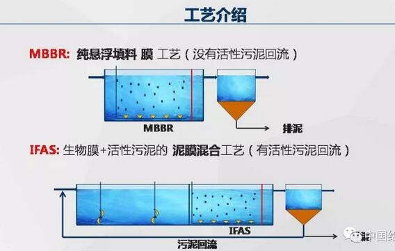 活性污泥