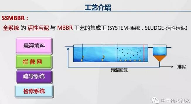 活性污泥