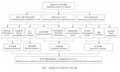 砷超标农田调控的主要措施