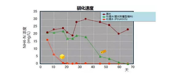 污水处理