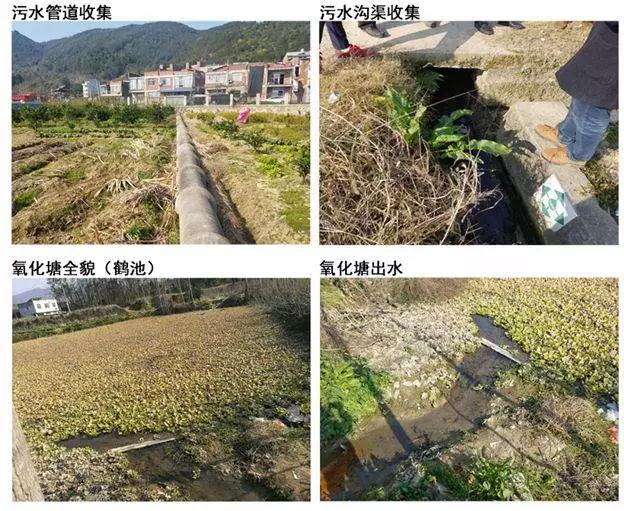 11月农水项目占据水务半个江山 农村市场真的那么好吗