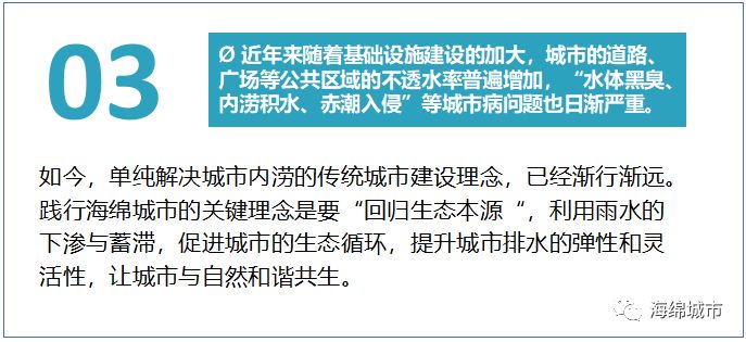 被央视频频点赞的背后 南方海绵城市建设之路到底怎么走？