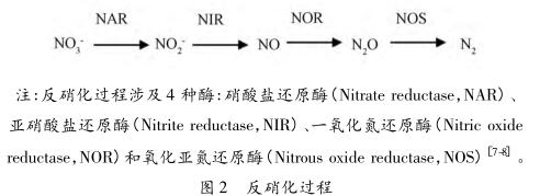 脱氮除磷技术