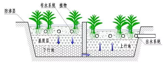 聚焦 | <em></em>​分散排水模式下污水处理的技术模式选择