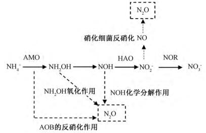 脱氮除磷技术