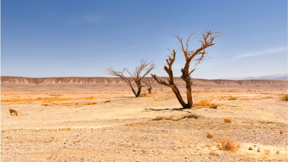 联合国：气候变化或导致全球1/4地表干涸