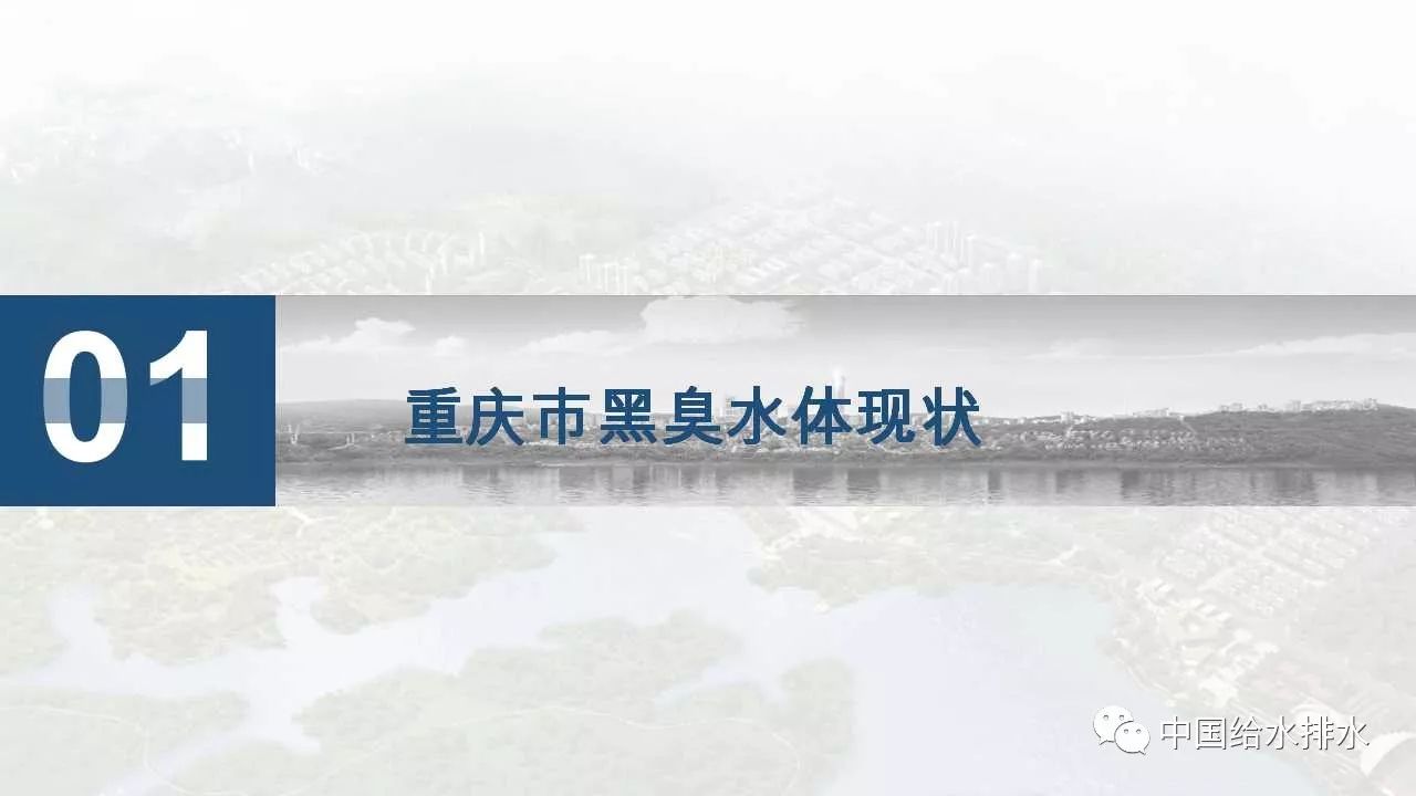 重庆市黑臭水体整治工程案例分析