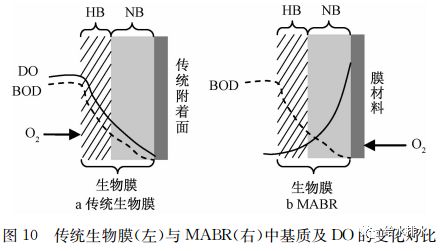 未来污水处理工艺发展的若干方向、规律及应用（下）