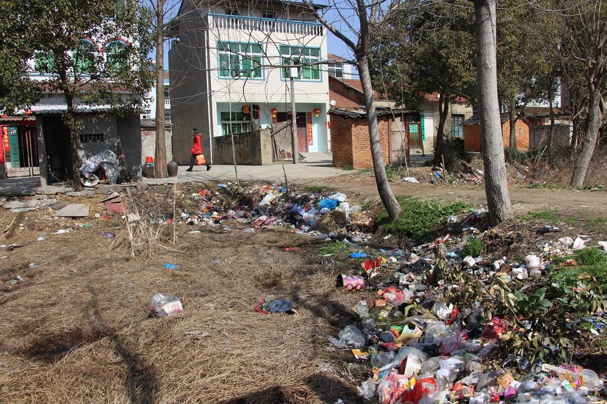 村镇生活垃圾处理模式、技术现状和市场空间