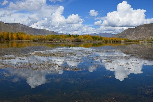 全国最大垃圾填埋场开始修复 变身生态主题公园