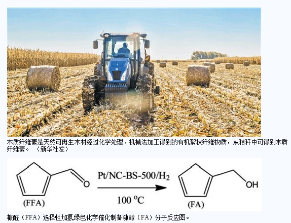 化工厂,化工制造,绿色化工厂