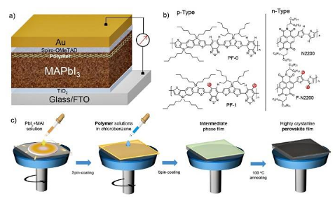 苏州大学马万里团队Adv. Funct. Mater.共轭聚合物助力钙钛矿电池效率及稳定性