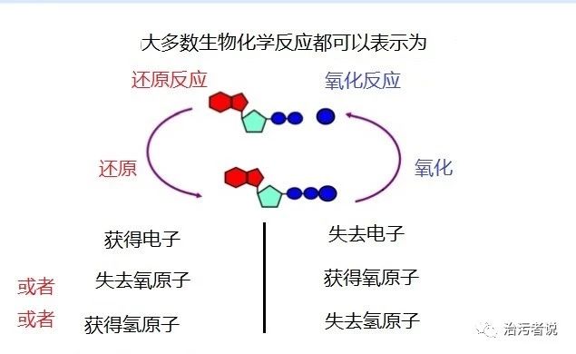 微信图片_20181029082132.jpg