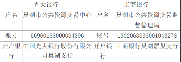 巢湖排污口重賬戶.png