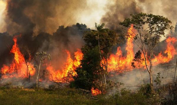 亚马逊雨林大火持续 气候变化影响“地球之肺”安危