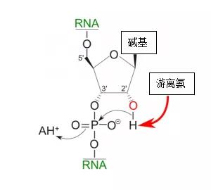 微信图片_20200303172208.jpg