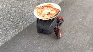苏黎世灵活双轮平衡机器人送披萨，奔跑自如小型机器人