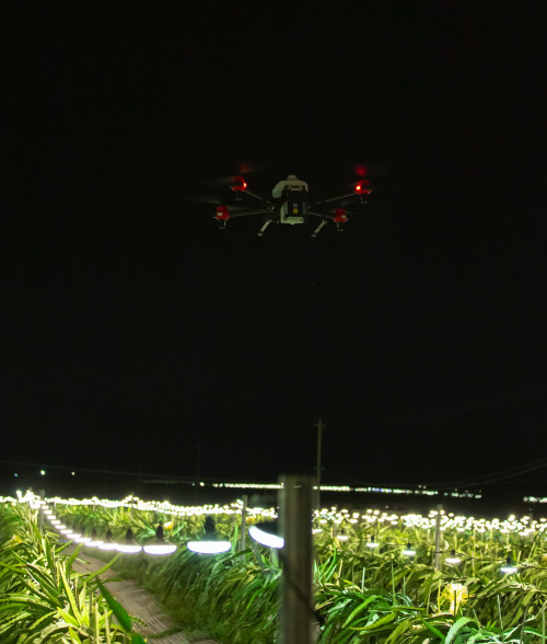 农业无人机实现夜间水稻直播、果树植保