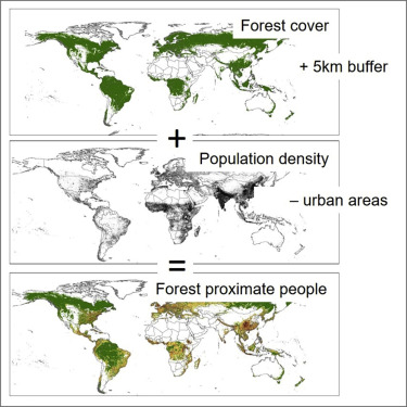 人类与森林的距离：全球16亿“森林居民”地图