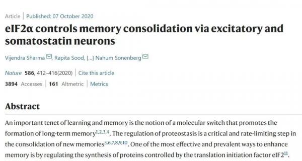 陈根：记忆加工新发现，老年痴呆治疗新靶点