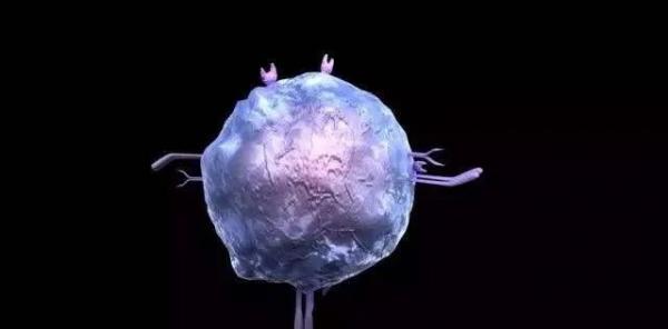 陈根：免疫系统的NKT细胞，抗癌抗肿瘤的战略意义