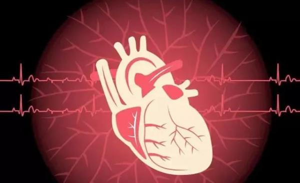 陈根：柔软材料打破刚性电子贴片困境，可监测治疗受损心脏