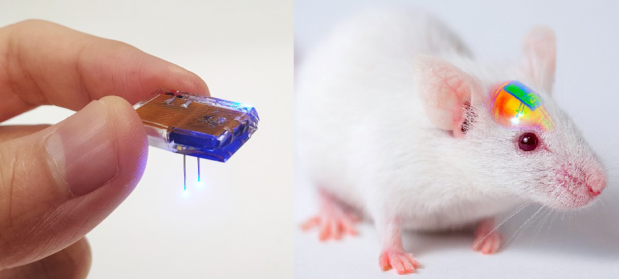 陈根：手机控制生物小鼠活动，只需一块植入物