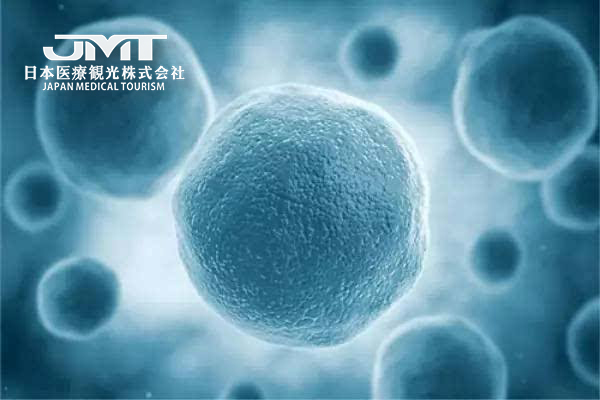 JMT-免疫细胞疗法之NK细胞疗法介绍 