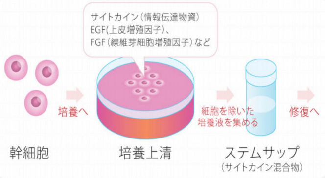 JMT-日本干细胞上清液的主要作用是什么呢？