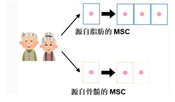 JMT日本干细胞-来源于脂肪组织干细胞的临床治疗介绍