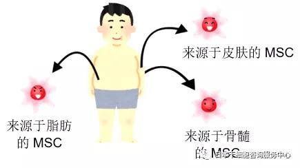 JMT-来源于脂肪组织干细胞的临床治疗特点