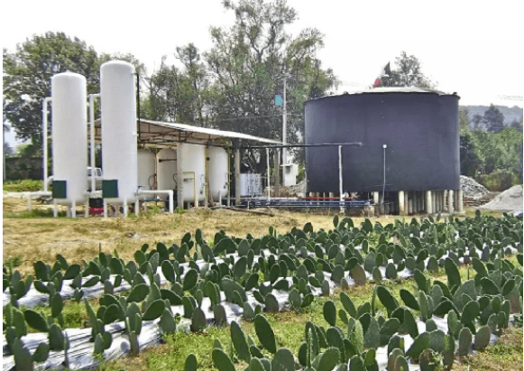 新材料情报NMT  | “碳中和”目标下 生物质能开启替代空间