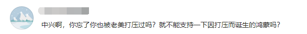 中兴表态：不会使用鸿蒙OS，网友议论纷纷！