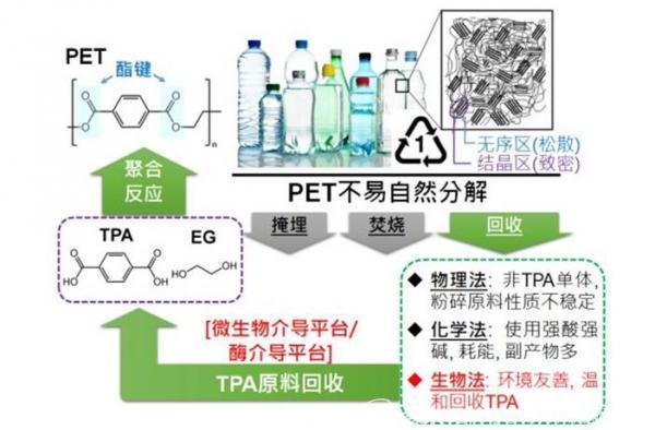 热点 | PET降解酶新突破  塑料有望进入生态循环