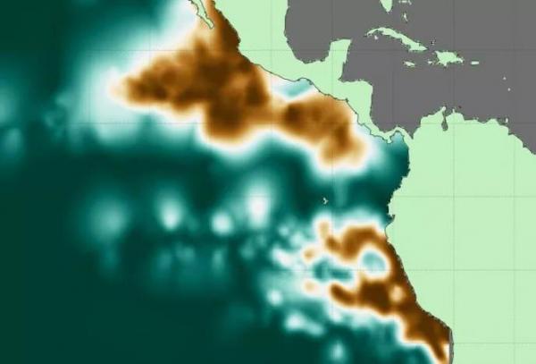 陈根：麻省理工科学家，绘制海洋缺氧区三维地图