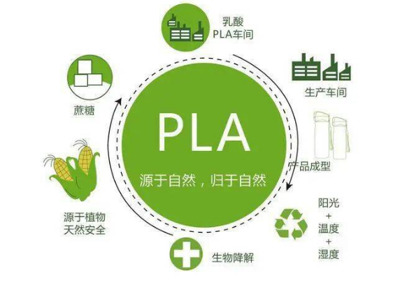 分析 | 2022年PLA行业上市公司全方位对比