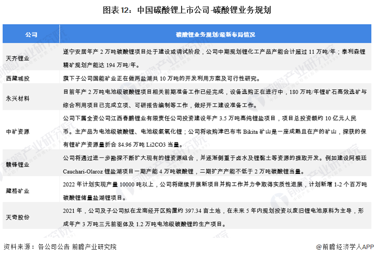 图表12：中国碳酸锂上市公司-碳酸锂业务规划