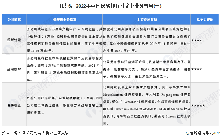 图表6：2022年中国碳酸锂行业企业业务布局(一)