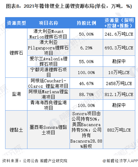 图表8：2021年赣锋锂业上游锂资源布局(单位：万吨，%)