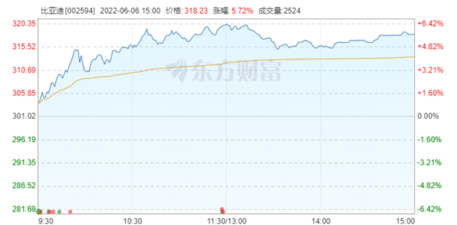 股价大涨，比亚迪5月销量超11万，连续三月逆势增长