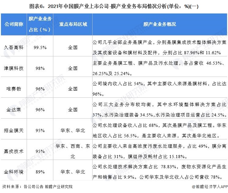 图表6：2021年中国膜产业上市公司-膜产业业务布局情况分析(单位：%)(一)