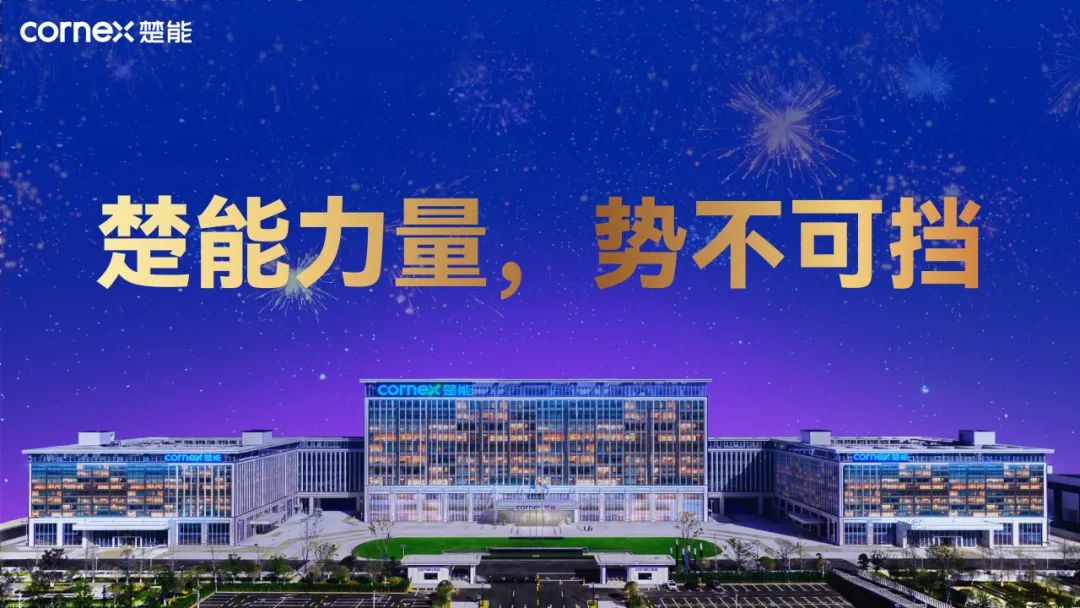 众心聚力，惟楚有能！楚能董事长代德明2025年度演讲